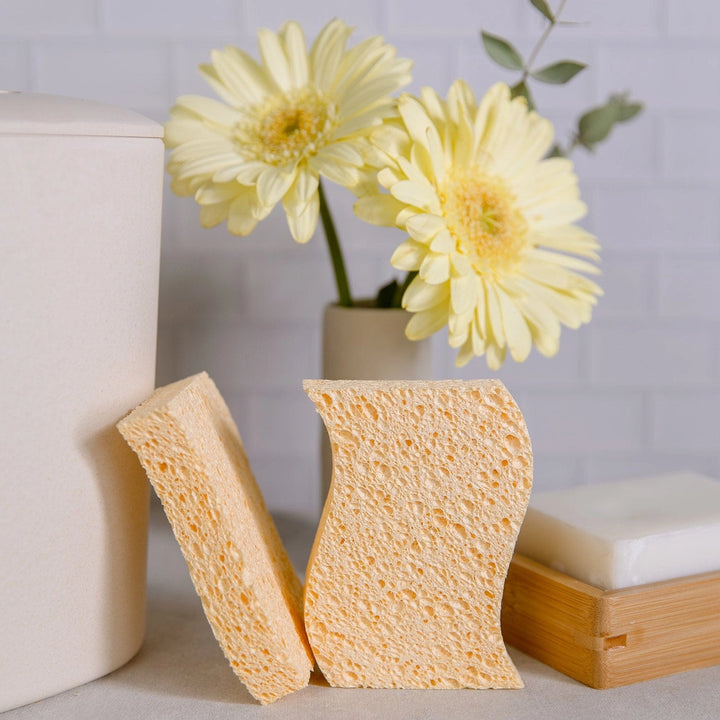 Biodegradable Kitchen Sponge 2 Pack