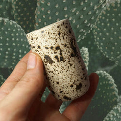 Sake Glass (Can be used for shots too)