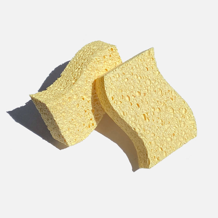 Biodegradable Kitchen Sponges: 2 Pack