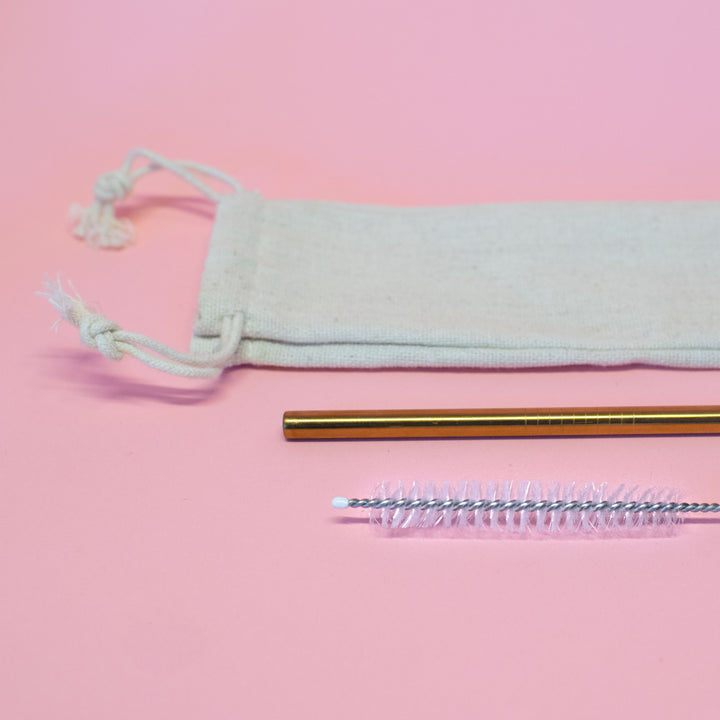 Reusable Straw Starter Kit