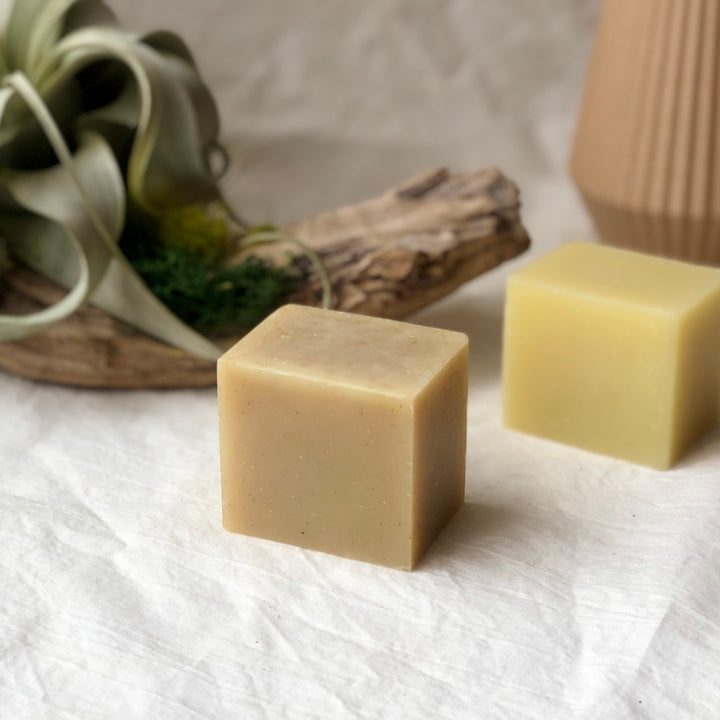 Solid Shampoo Bar